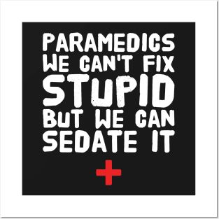 Paramedics we can't fix stupid but we can sedate it Posters and Art